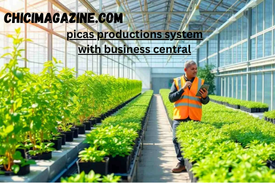 picas productions system with business central