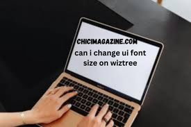 can i change ui font size on wiztree
